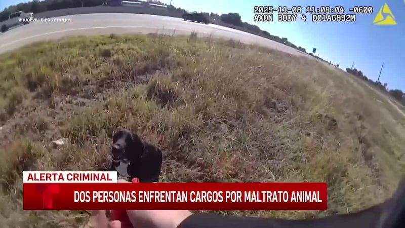Dos personas son detenidas en conexión con un perro herido que fue encontrado en la...