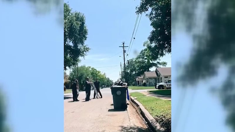 Un ex alumno de Baylor es acusado de maltrato animal por la muerte de unos gatos que fueron...
