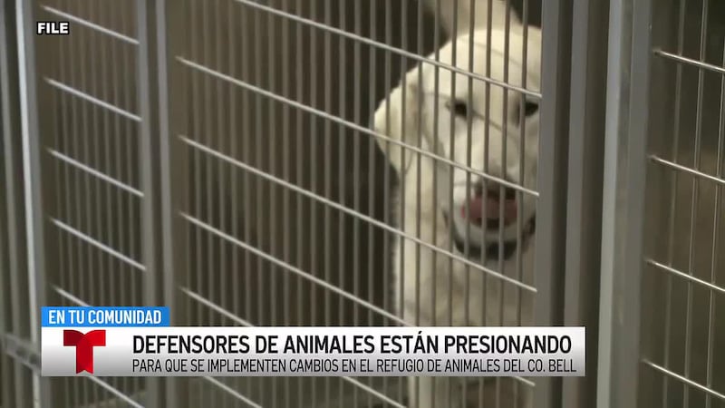 Residentes del condado de Bell firman una petición para retirar el refugio de animales de la...