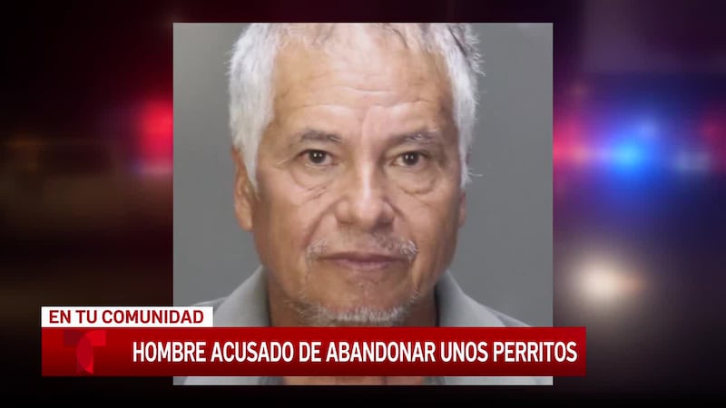 Una mujer atenta del centro de Texas detiene a un hombre que intentaba abandonar cachorros en...