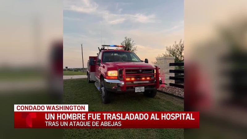 Hombre es trasladado en helicóptero tras una grave picadura de abejas a lo largo de una...