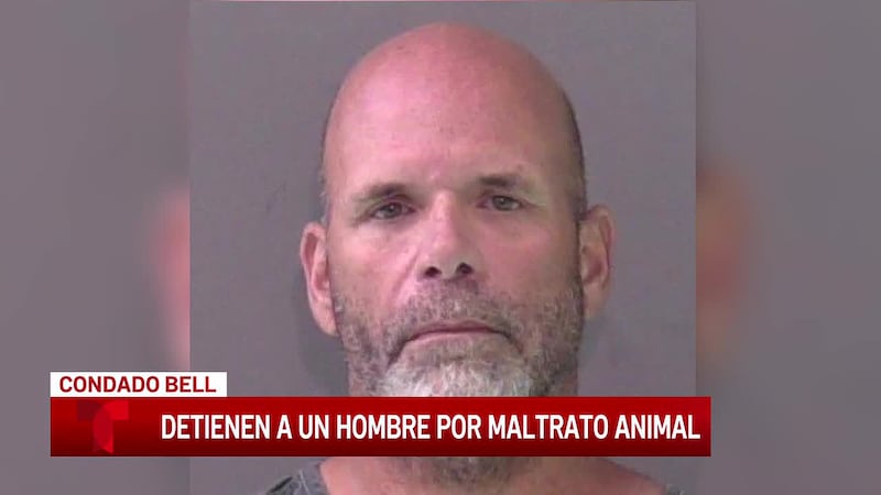 Hombre de Killeen es acusado de 7 cargos de crueldad animal después de que agentes hallaran a...