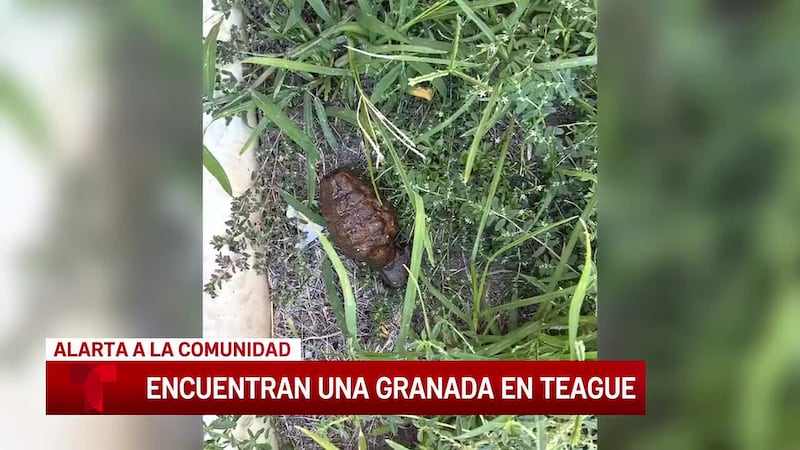 Hallan en el suelo de Teague una granada de mano oxidada y cubierta de tierra