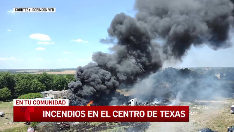 Varios cuerpos de emergencia combaten los incendios y rescatan a tres perros