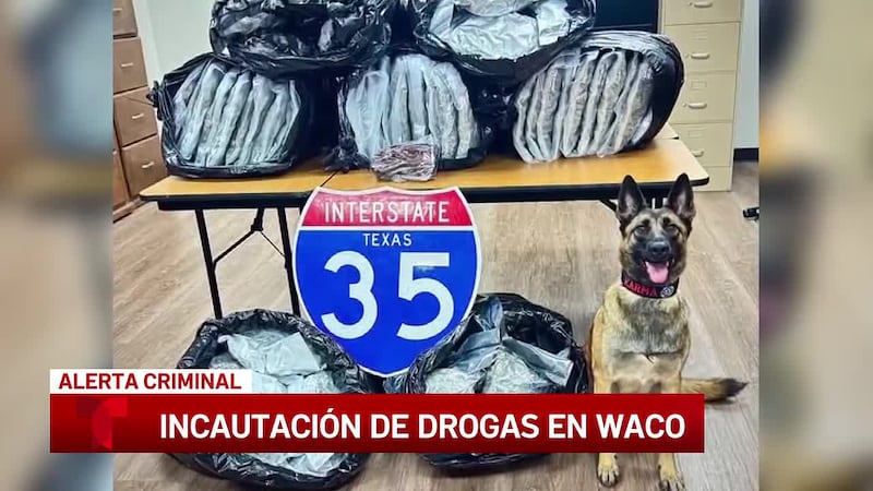 La tecnología ALPR ayuda a localizar al sospechoso de un caso de robo en Lorena