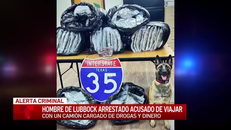 Hombre de Lubbock es detenido en Waco después de que 133 libras de marihuana y $6,804 fueran...