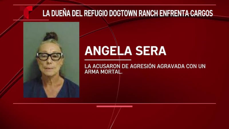 Sheriff del condado de Milam: El santuario Dogtown Ranch todavía sigue bajo investigación tras...
