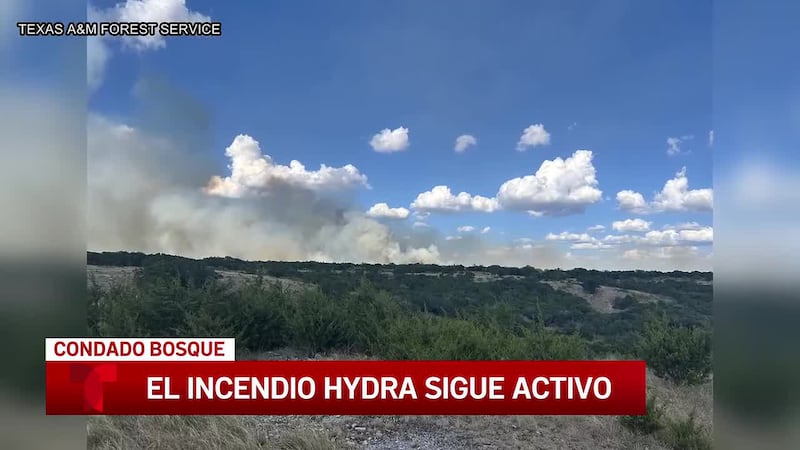 Equipos de emergencia luchan contra incendio de matorrales de rápida propagación en el condado...