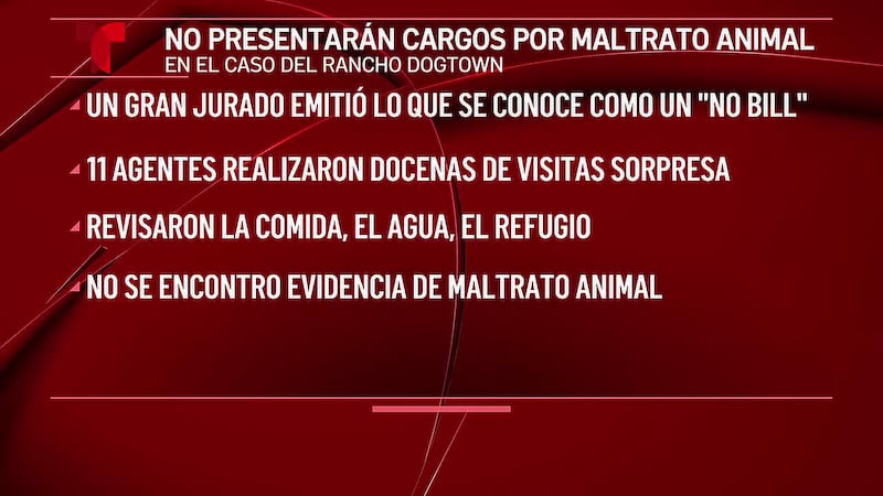 Gran jurado desestima cargos penales en investigación por crueldad hacia los animales en...