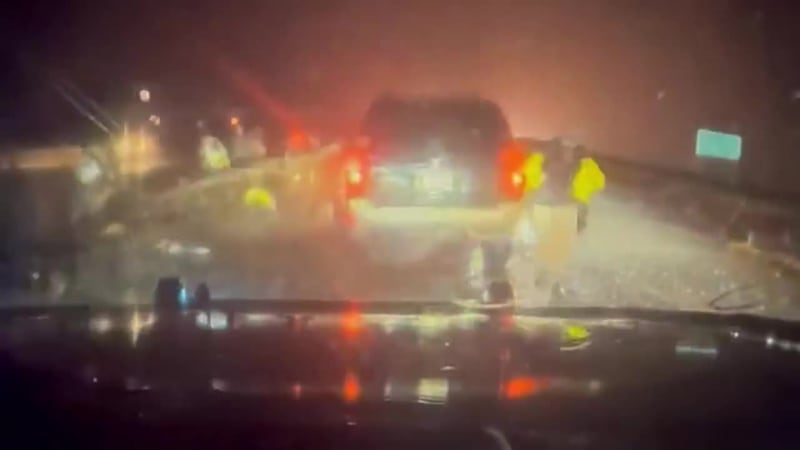 Captado desde la cámara de un vehículo el momento en que un árbol cae sobre una camioneta SUV...