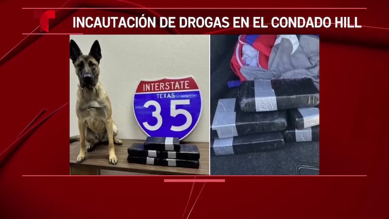 Texas DPS arresta a conductor tras encubrir más de 12 libras de cocaína durante una parada de...