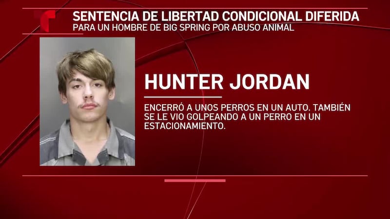 Un hombre que golpeó, pateó y ahogó a un perro es puesto bajo libertad condicional diferida