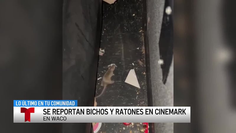 El Cinemark de Waco está bajo investigación por ratones después de quejas de clientes