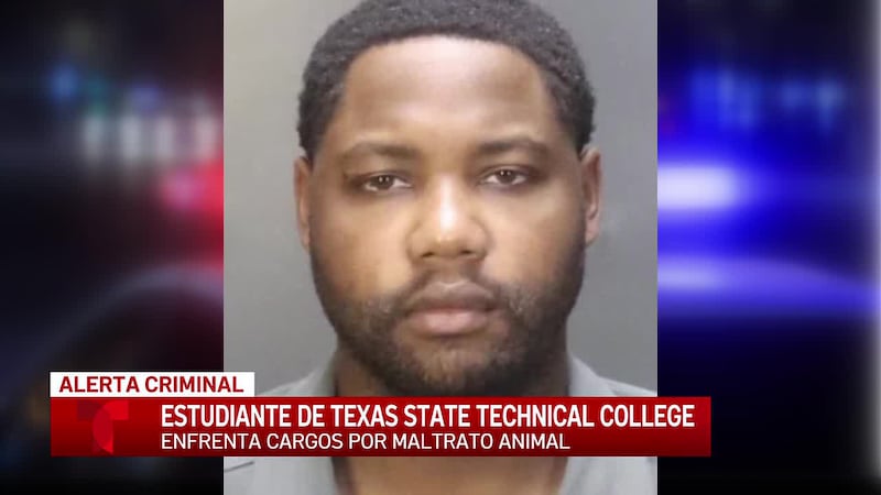 Un estudiante de TSTC es acusado de crueldad animal tras videos de un testigo, dijo la policía